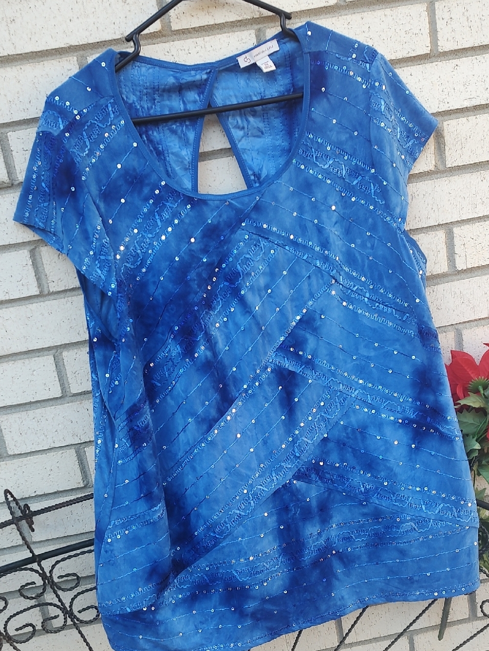 Blue Top* - Picture 4 of 10